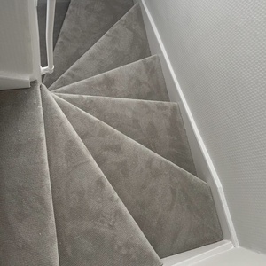 Light Grey Carpet 