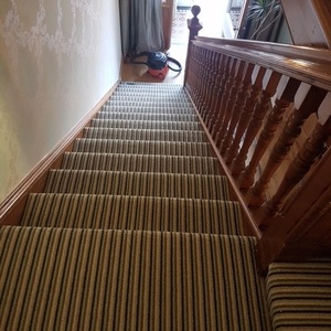 Striped Carpet